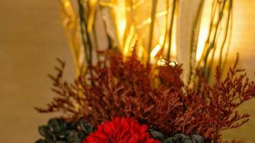 客室の設備とサービス / 10