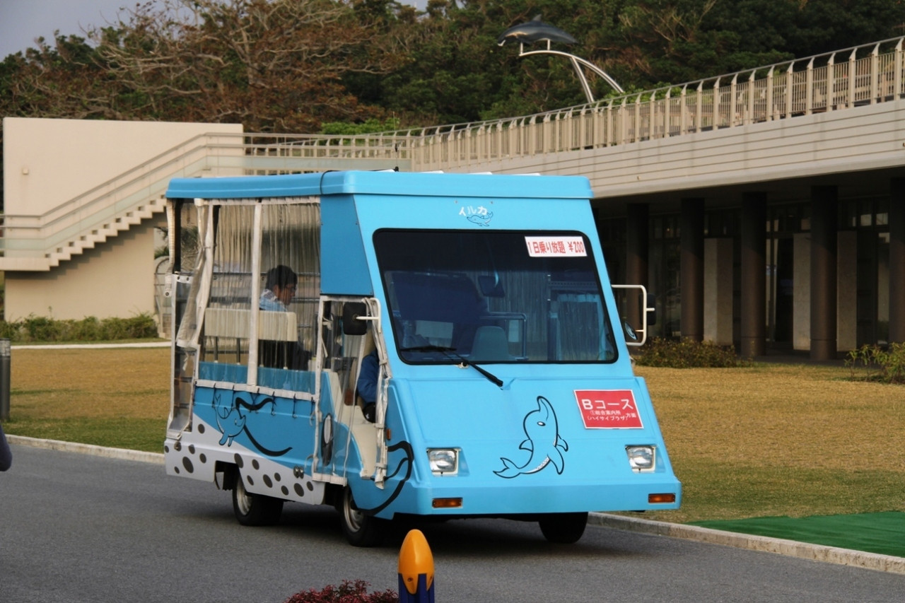 海洋博公園内・ウミガメ館への交通アクセス1659318