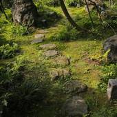 一里野高原ホテル ろあん（石川県 旅館） / 3