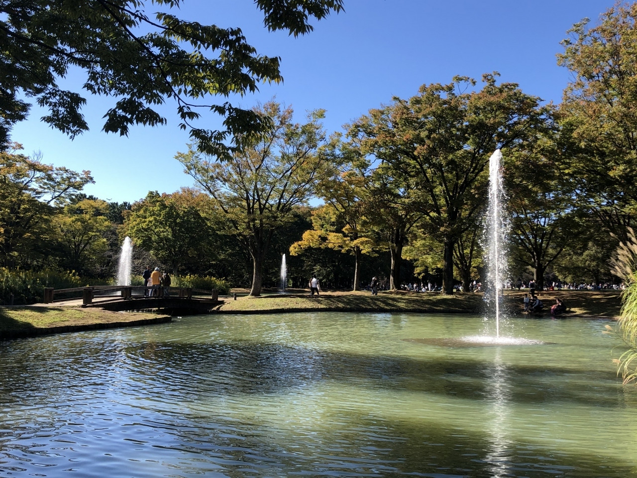 13.街歩きの休憩に♩「代々木公園」2344957
