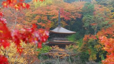 観光スポット / 11