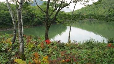 施設の敷地 / 20