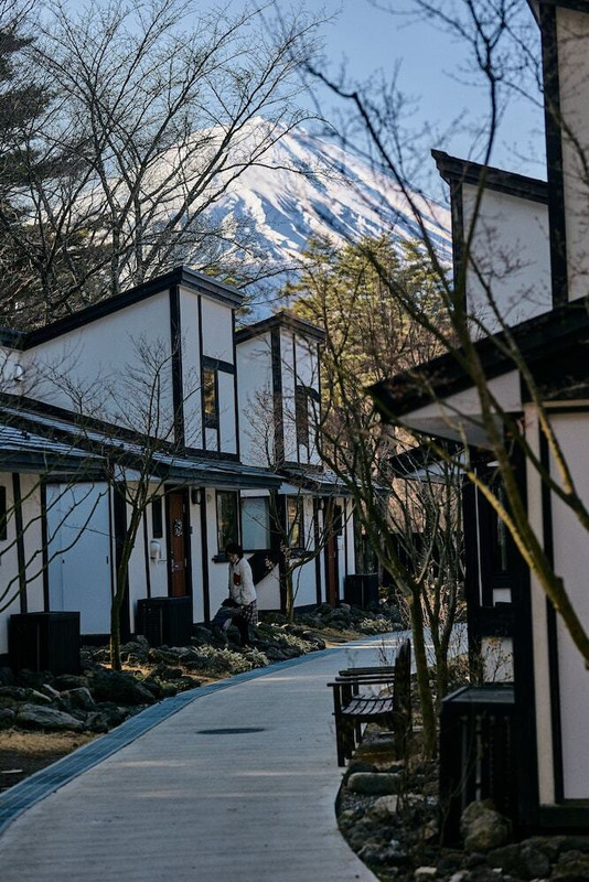 敷地内から見る富士山