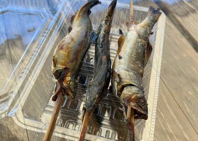 清流長良川 あゆパーク