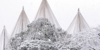 金沢市「兼六園」初めてならここだけ見て！外せない見どころスポット紹介
