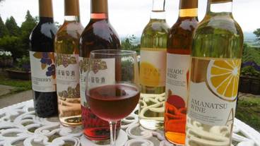 レストラン / 15