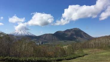 施設の敷地 / 14