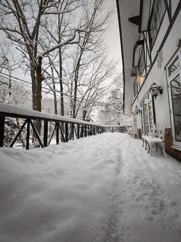 テラス / パティオ