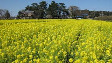 観光スポット / 6