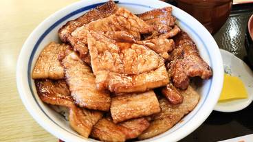 帯広名物 ぶた丼 / 3