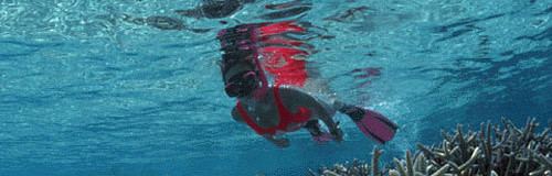 夏休みは楽園の島「奄美大島」で子どもと冒険♪子連れにおすすめホテル10選