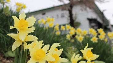 施設の敷地 / 20