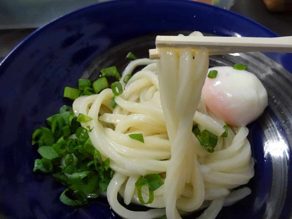 「日の出製麺所」料理 902011 ツヤとコシのあるおうどんでした。