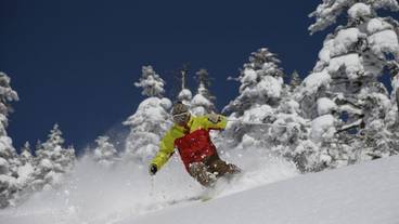 スノー スポーツとスキー / 4