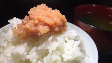 食事・飲み物 / 1