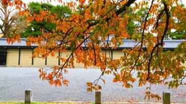 観光スポット / 17