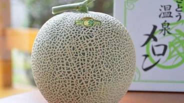 食事・飲み物 / 36