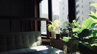 リビング エリア / 13