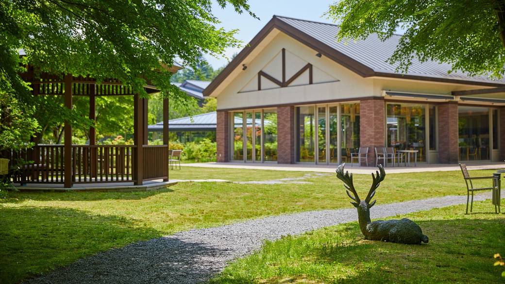 豊かな緑に囲まれた
ホテルにチェックイン / 2