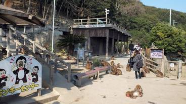 ランド ビュー / 25