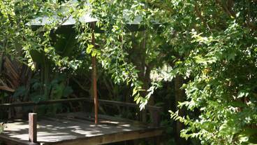 テラス / パティオ / 10