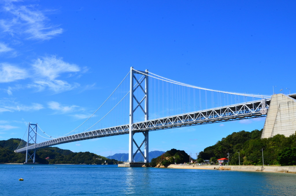 〈因島〉旅の中間地点！はっさく発祥の地3726670