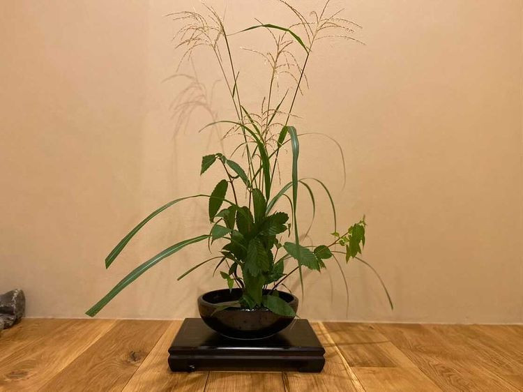 coron.810さんの写真 / 4