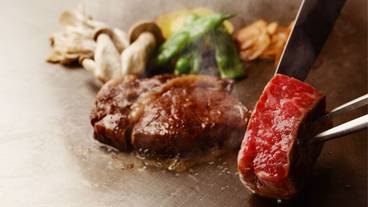 鉄板焼料理一例 / 5