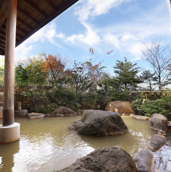 部屋食も温泉も堪能できる、明治の文豪「徳冨蘆花」の常宿3389725