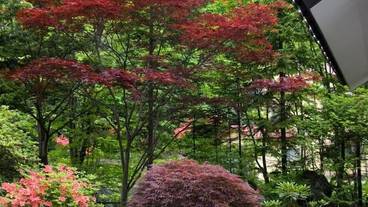 施設の敷地 / 13