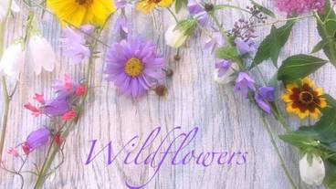 内装の詳細 / 17