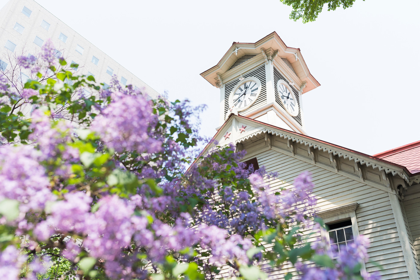 札幌時計台（+ライラック）