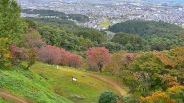 観光スポット / 6