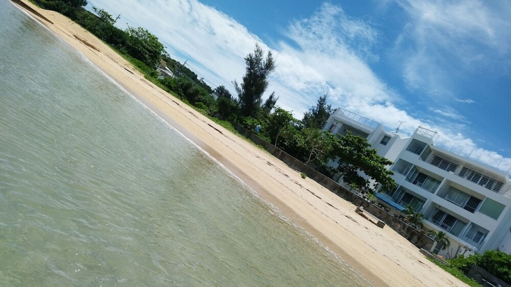 ビーチ / オーシャン ビュー