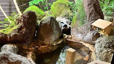 バスルーム / 25