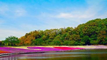 観光スポット / 5