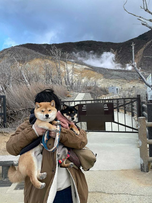 kuromame_ranmaruさんの写真 / 2