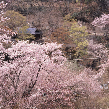 群馬県みなかみ町3392956