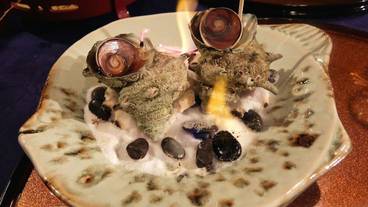 食事・飲み物 / 7