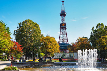 Sapporo has a ton of things to see, both gourmet food and sightseeing spots!