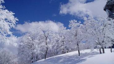 スノー スポーツとスキー / 1