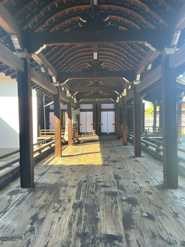 sakichoikasさんの写真 / 2