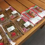 道の駅 おおた（ミチノエキオオタ）