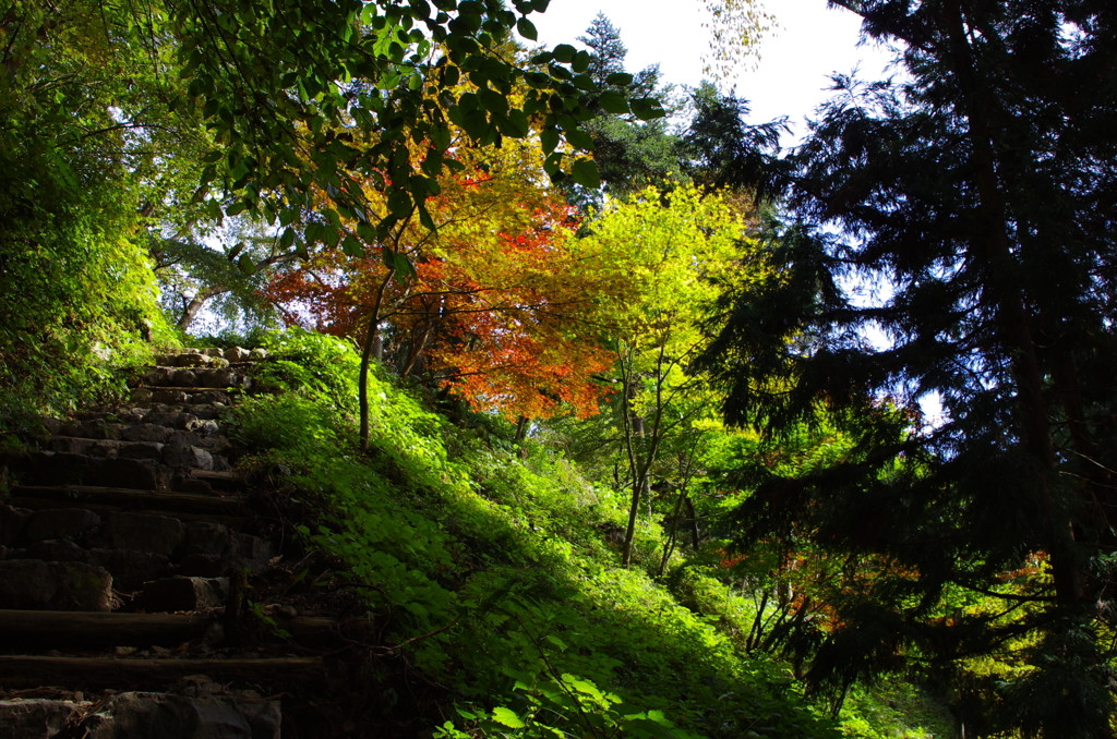６.奥多摩の人気パワースポット「御岳山」/東京都4088434
