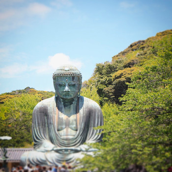 鎌倉の風を感じる旅館はいかがでしたか？3846603