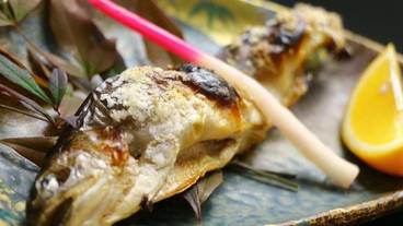 食事・飲み物 / 11