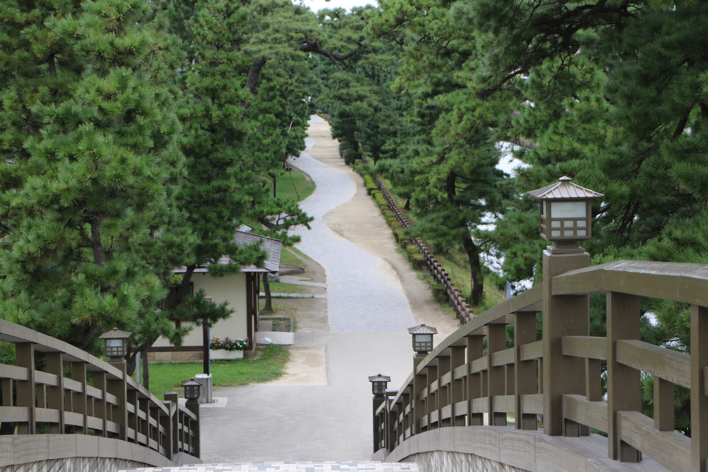 埼玉県草加市の旧日光街道松並木、松尾芭蕉の奥の細道、一番目の宿場町、草加宿です。