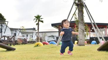 施設の敷地 / 13