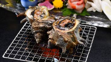 レストラン / 17