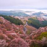 絶景図鑑｜これを見て旅した気分を味わおう。日本のおすすめスポット20選